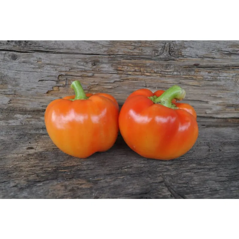 Alma Paprika Pepper (70 Days)