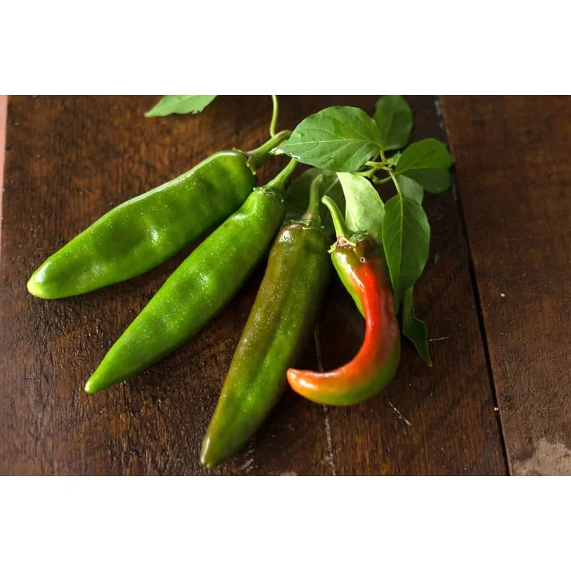 Anaheim Hot Pepper (Heirloom, 80 Days)