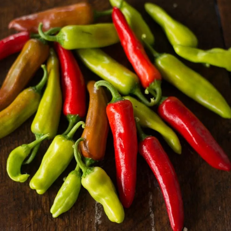 Italian Pepperoncini Pepper (75 Days)